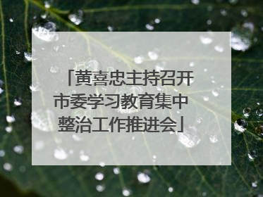 黄喜忠主持召开市委学习教育集中整治工作推进会
