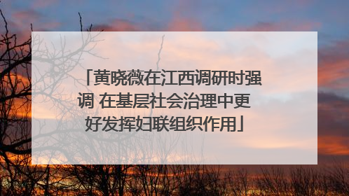 黄晓薇在江西调研时强调 在基层社会治理中更好发挥妇联组织作用