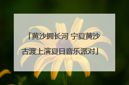 黄沙拥长河 宁夏黄沙古渡上演夏日音乐派对