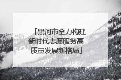 黑河市全力构建新时代志愿服务高质量发展新格局