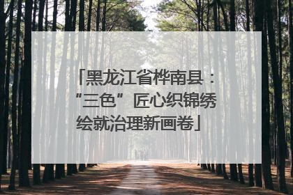 黑龙江省桦南县：“三色”匠心织锦绣 绘就治理新画卷