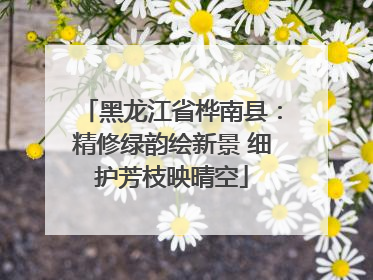 黑龙江省桦南县：精修绿韵绘新景 细护芳枝映晴空