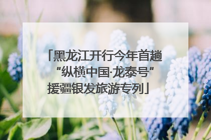 黑龙江开行今年首趟“纵横中国·龙泰号”援疆银发旅游专列
