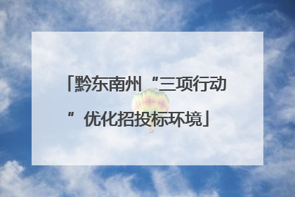 黔东南州“三项行动”优化招投标环境