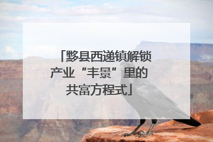 黟县西递镇解锁产业“丰景”里的共富方程式