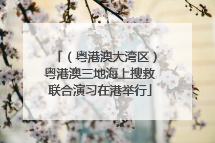 （粤港澳大湾区）粤港澳三地海上搜救联合演习在港举行