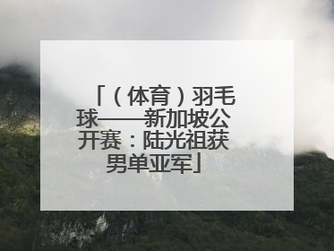 （体育）羽毛球——新加坡公开赛：陆光祖获男单亚军