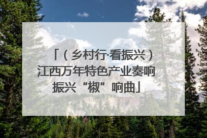 （乡村行·看振兴）江西万年特色产业奏响振兴“椒”响曲