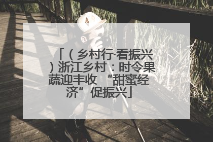 （乡村行·看振兴）浙江乡村：时令果蔬迎丰收 “甜蜜经济”促振兴