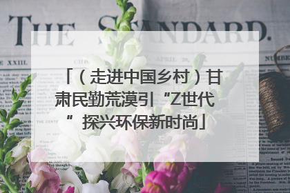 （走进中国乡村）甘肃民勤荒漠引“Z世代”探兴环保新时尚