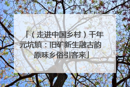 （走进中国乡村）千年元坑镇：旧矿新生融古韵 原味乡俗引客来