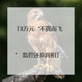3万元“不翼而飞” 监控还原真相