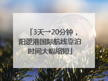 3天→20分钟，阳逻港国际航线靠泊时间大幅缩短