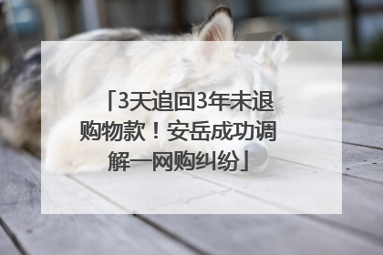 3天追回3年未退购物款！安岳成功调解一网购纠纷