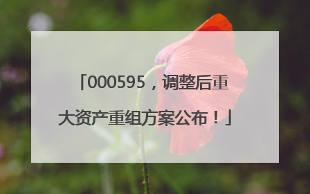 000595，调整后重大资产重组方案公布！