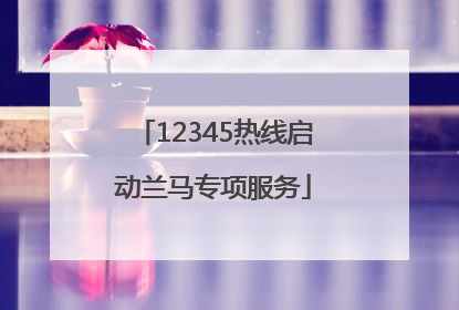 12345热线启动兰马专项服务