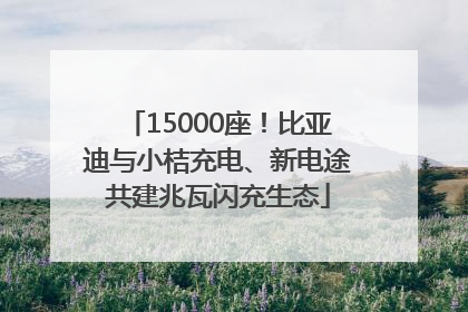 15000座！比亚迪与小桔充电、新电途共建兆瓦闪充生态