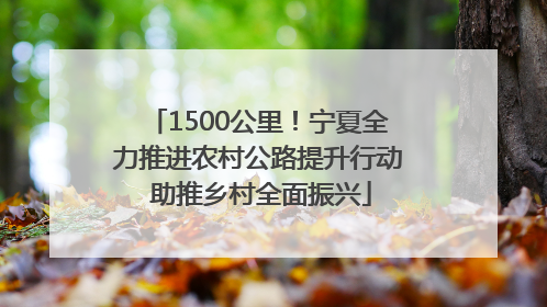 1500公里！宁夏全力推进农村公路提升行动 助推乡村全面振兴