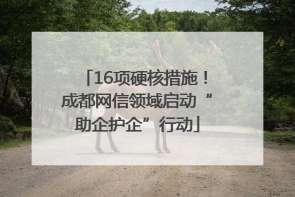 16项硬核措施！成都网信领域启动“助企护企”行动