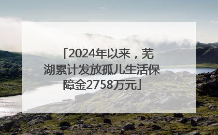 2024年以来，芜湖累计发放孤儿生活保障金2758万元