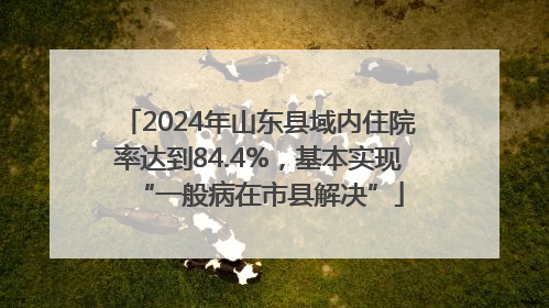 2024年山东县域内住院率达到84.4%，基本实现“一般病在市县解决”