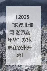 2025“浪漫北部湾 潮派嘉年华”欢乐周在钦州开幕