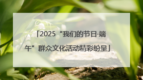 2025“我们的节日·端午”群众文化活动精彩纷呈