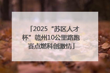 2025“苏区人才杯”赣州10公里路跑赛点燃科创激情