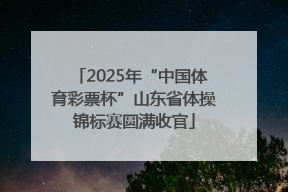 2025年“中国体育彩票杯”山东省体操锦标赛圆满收官