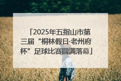 2025年五指山市第三届“桐林假日·老州府杯”足球比赛圆满落幕