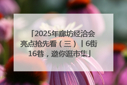 2025年廊坊经洽会亮点抢先看（三）丨6街16巷，邀你逛市集