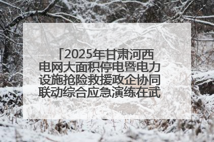 2025年甘肃河西电网大面积停电暨电力设施抢险救援政企协同联动综合应急演练在武威成功举行
