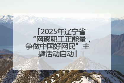 2025年辽宁省“网聚职工正能量，争做中国好网民”主题活动启动