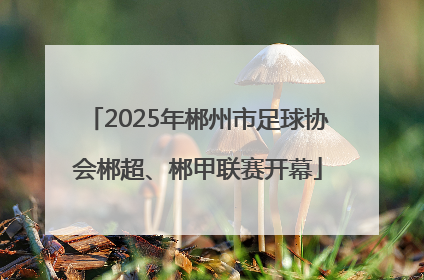 2025年郴州市足球协会郴超、郴甲联赛开幕