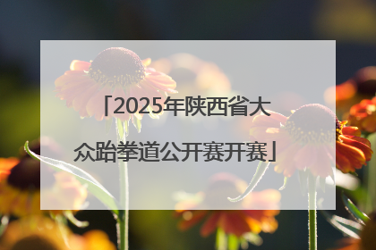 2025年陕西省大众跆拳道公开赛开赛