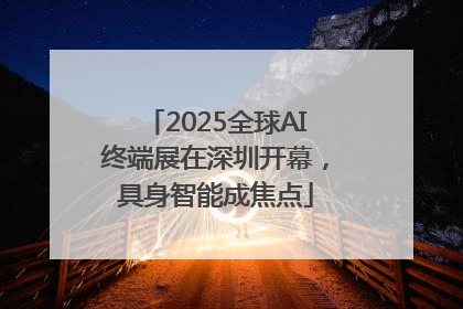 2025全球AI终端展在深圳开幕，具身智能成焦点