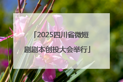 2025四川省微短剧剧本创投大会举行