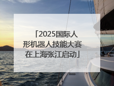 2025国际人形机器人技能大赛在上海张江启动