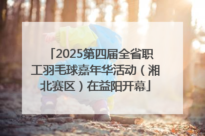 2025第四届全省职工羽毛球嘉年华活动（湘北赛区）在益阳开幕