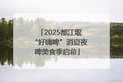 2025都江堰“好嗨啤”消夏夜啤美食季启幕