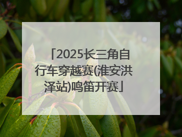 2025长三角自行车穿越赛(淮安洪泽站)鸣笛开赛