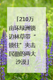 210万亩环绿洲锁边林草带“锁住”夹击民勤的两大沙漠