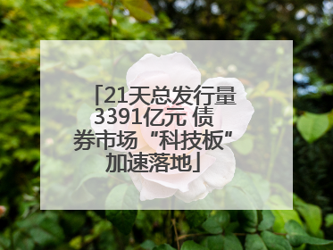 21天总发行量3391亿元 债券市场“科技板”加速落地