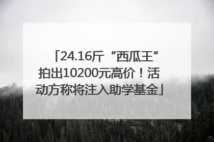 24.16斤“西瓜王”拍出10200元高价！活动方称将注入助学基金
