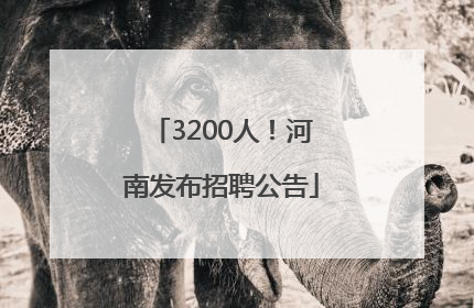 3200人！河南发布招聘公告