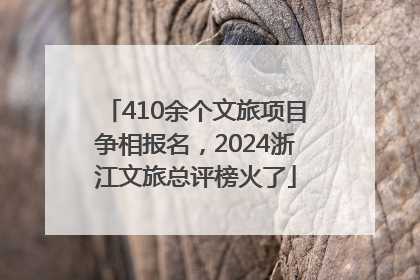 410余个文旅项目争相报名，2024浙江文旅总评榜火了