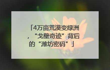 4万亩荒漠变绿洲，“戈壁奇迹”背后的“潍坊密码”