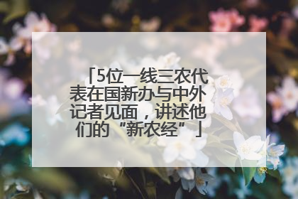 5位一线三农代表在国新办与中外记者见面，讲述他们的“新农经”