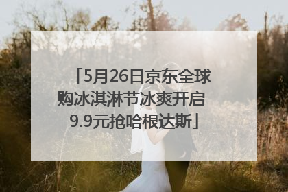 5月26日京东全球购冰淇淋节冰爽开启 9.9元抢哈根达斯
