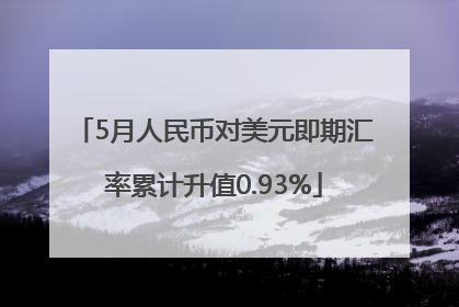 5月人民币对美元即期汇率累计升值0.93%